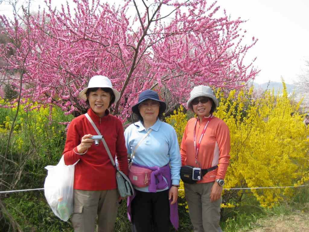 �����������̎R�����L�T