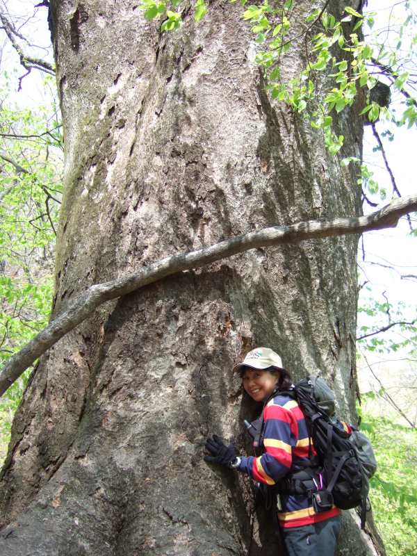 �����������̎R�����L�T