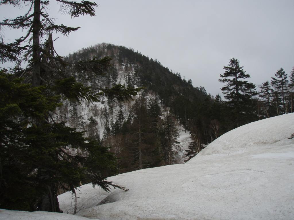 �����������̎R�����L�T