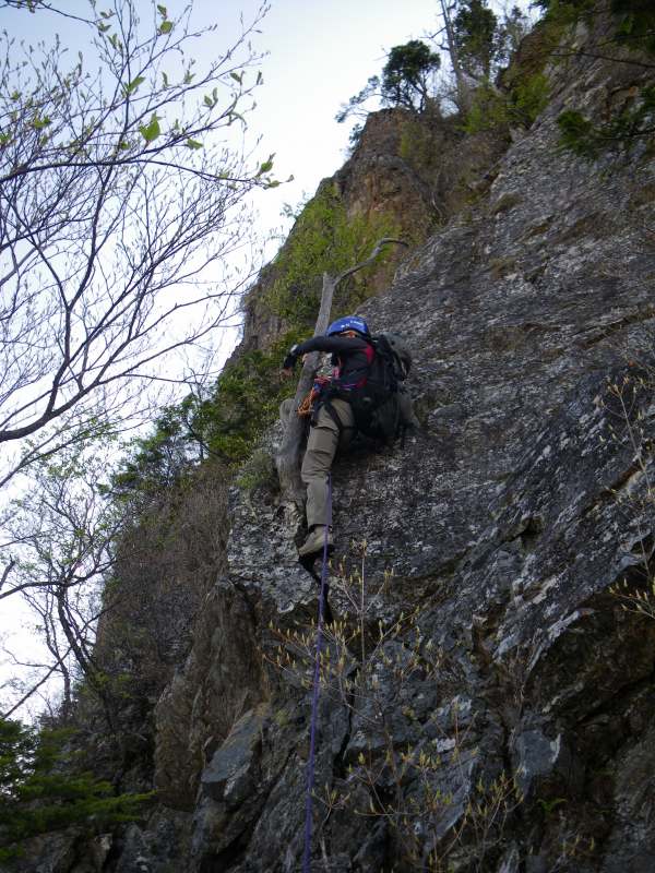 �����������̎R�����L�T