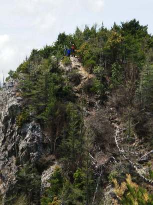 �����������̎R�����L�T