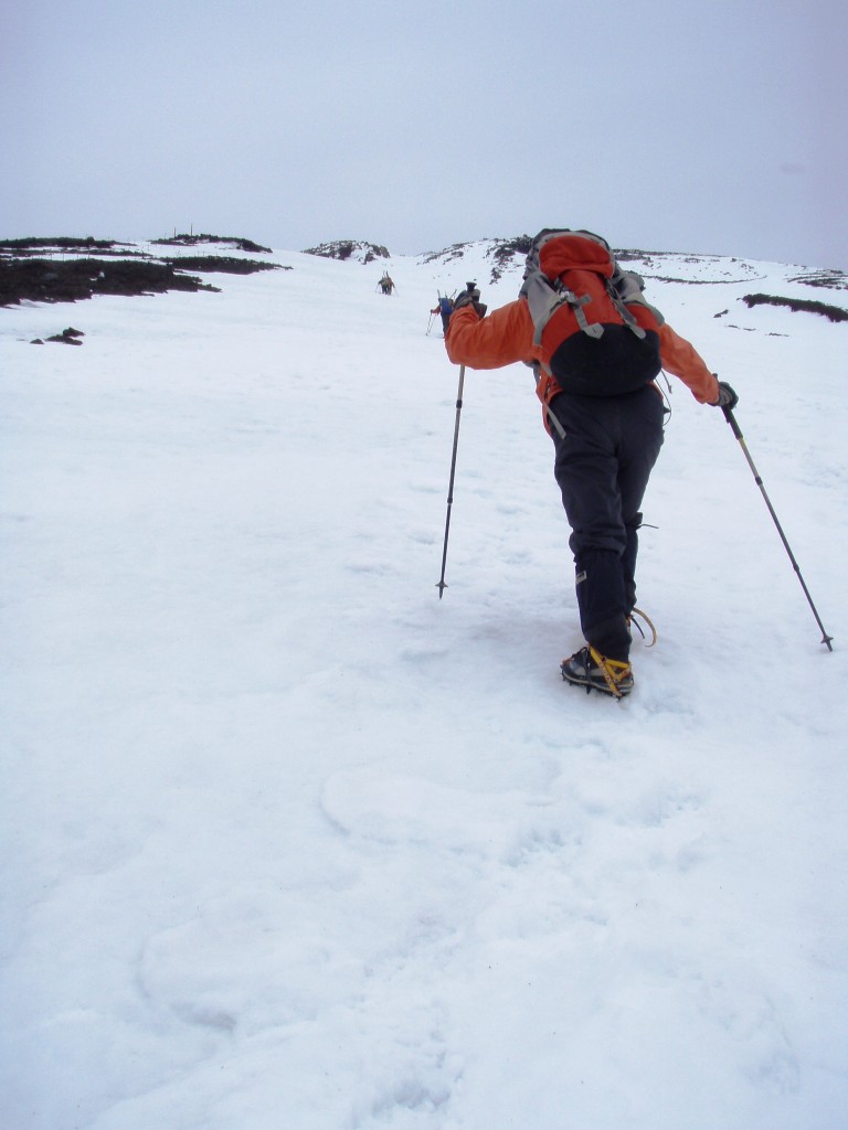 �����������̎R�����L�T