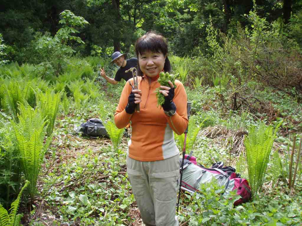 �����������̎R�����L�T