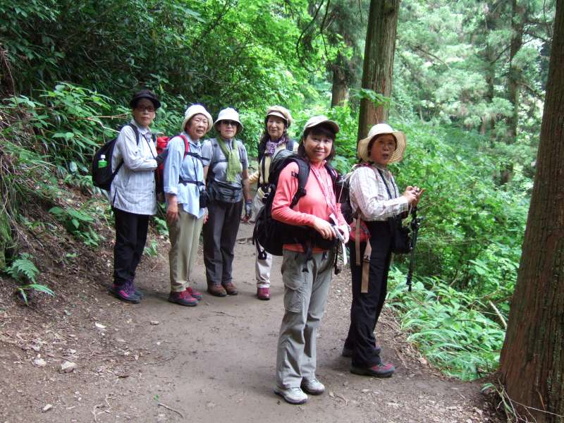 �����������̎R�����L�T