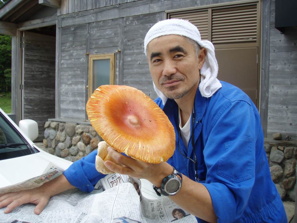 �����������̎R�����L�T