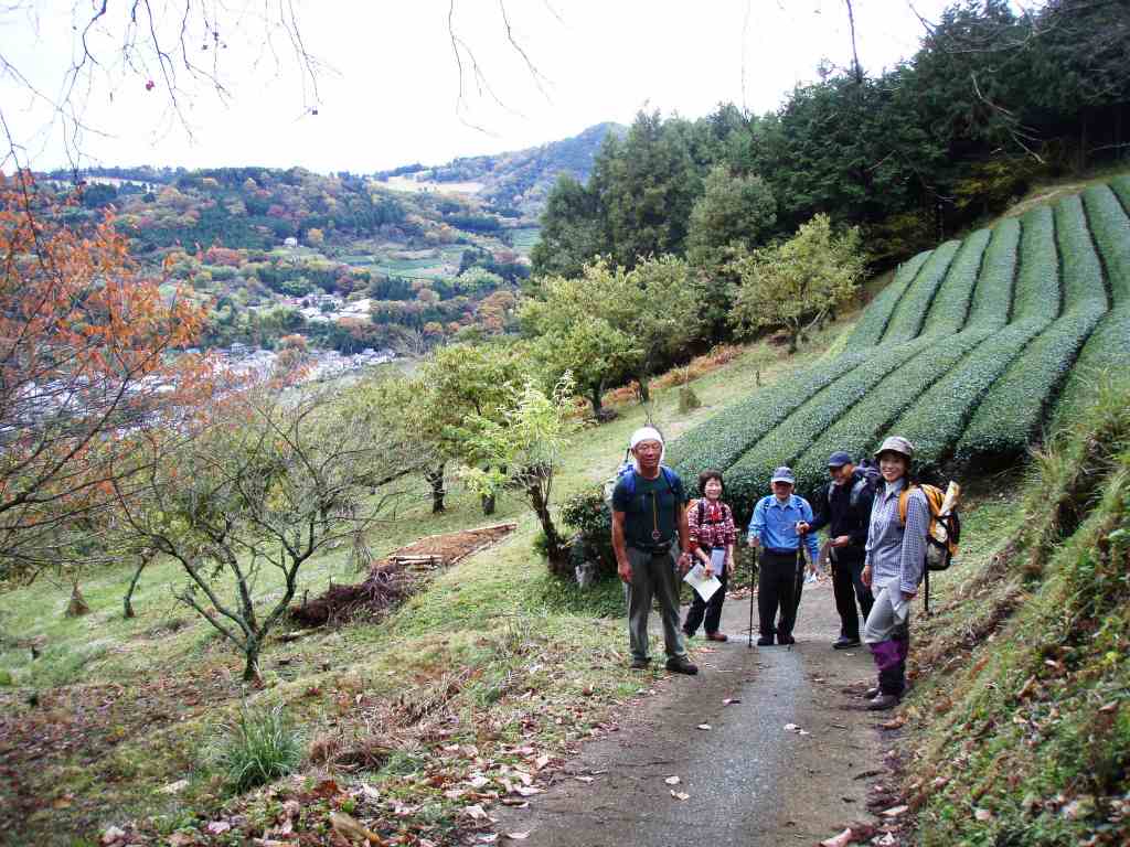 �����������̎R�����L�T