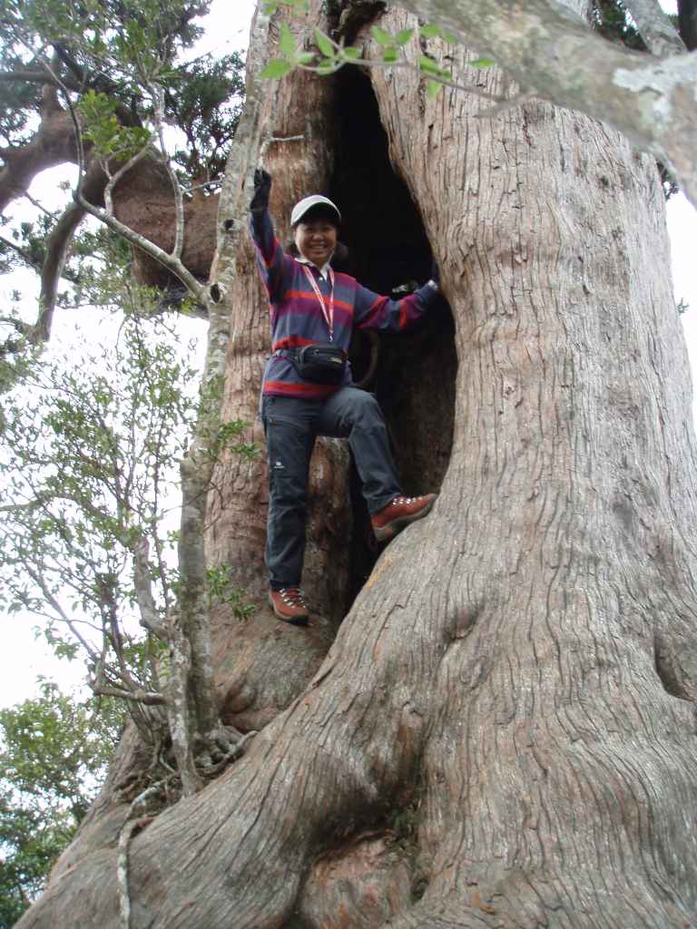 �����������̎R�����L�T