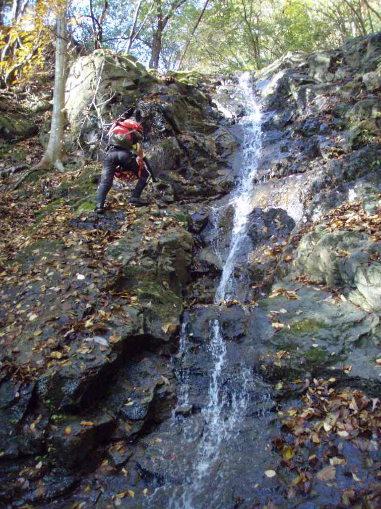 �����������̎R�����L�T