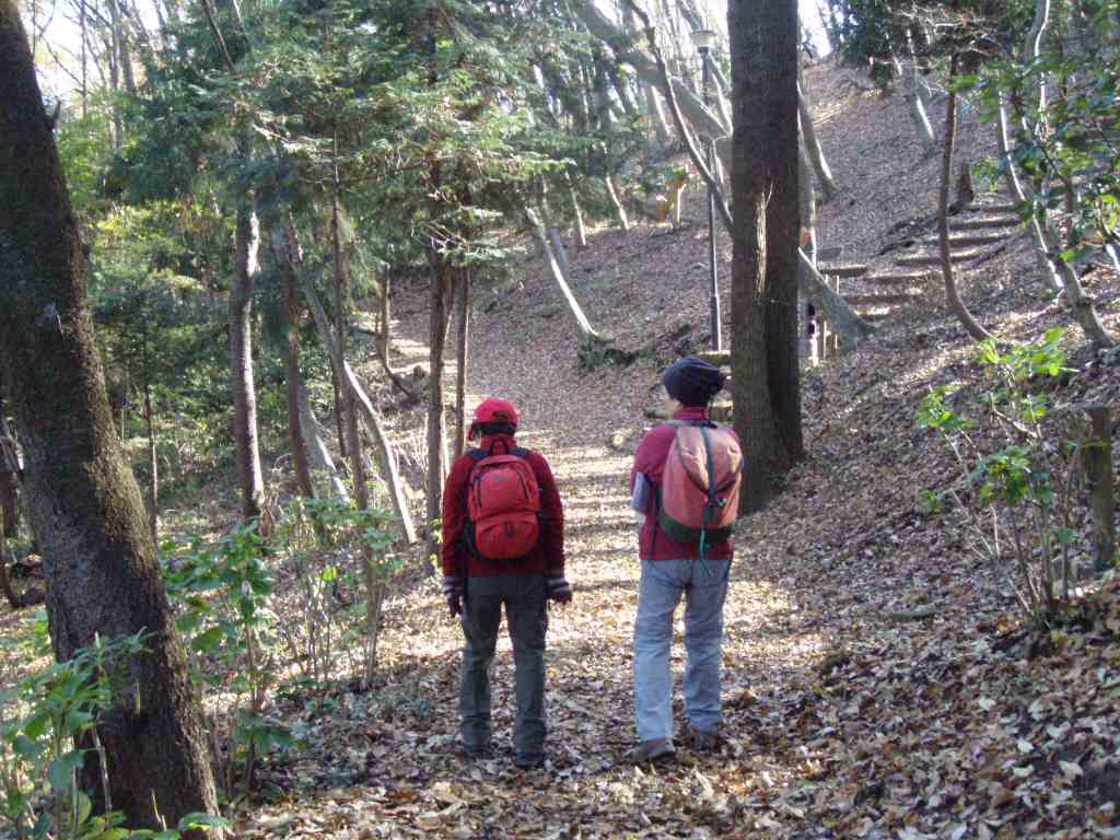 �����������̎R�����L�T