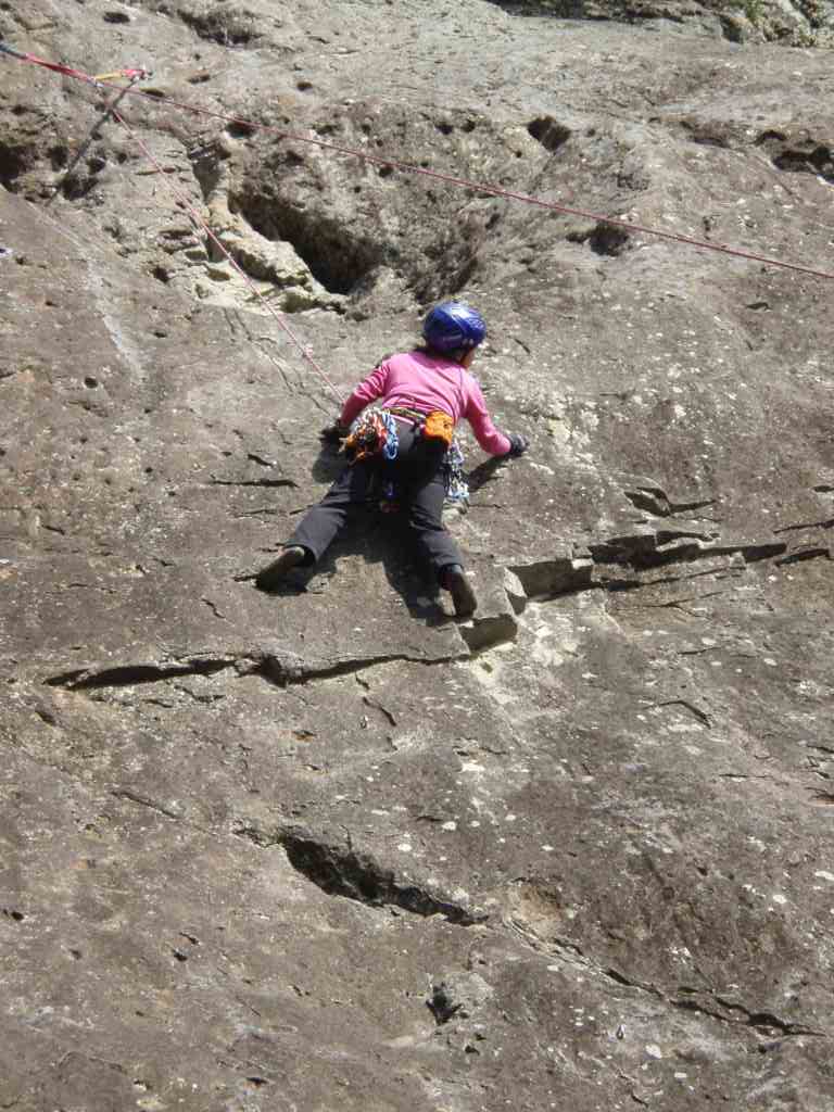 �����������̎R�����L�T