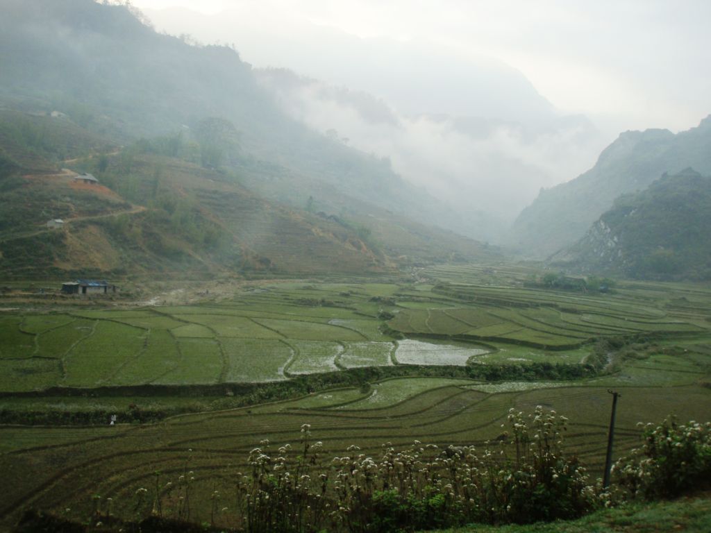 �����������̎R�����L�T