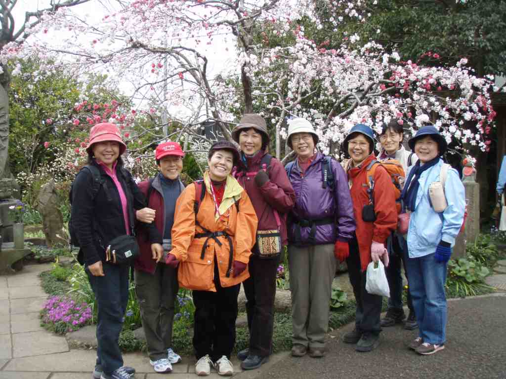 �����������̎R�����L�T