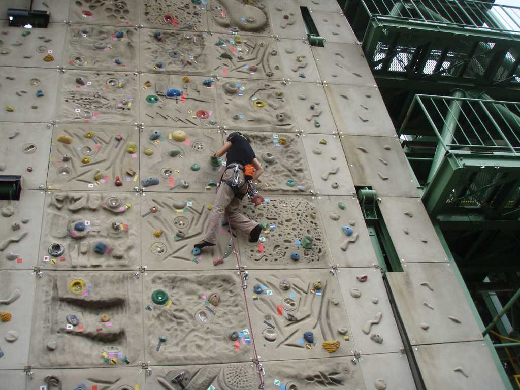 �����������̎R�����L�T