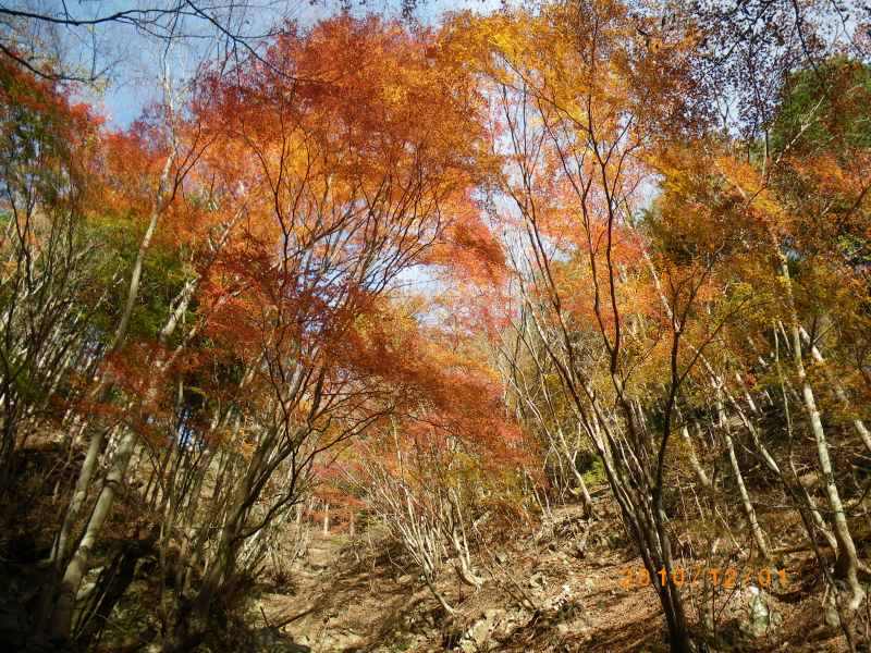 �����������̎R�����L�T