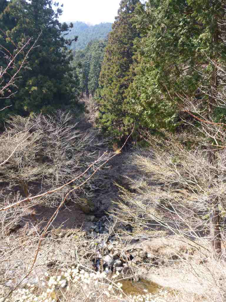 �����������̎R�����L�T