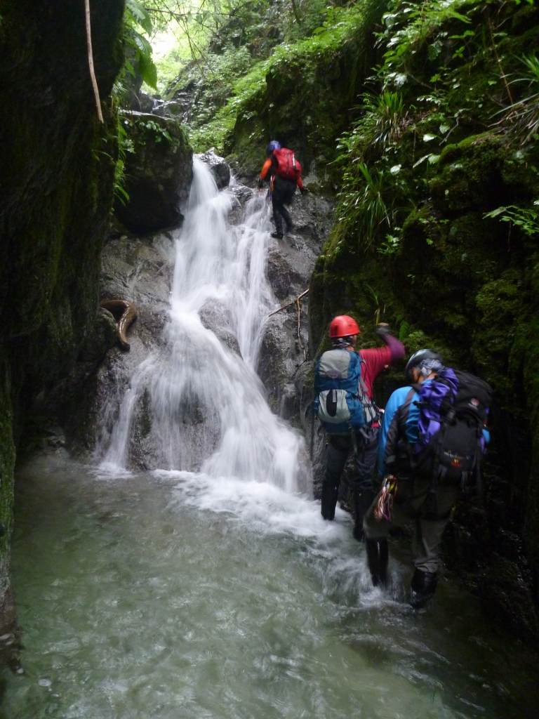 �����������̎R�����L�T