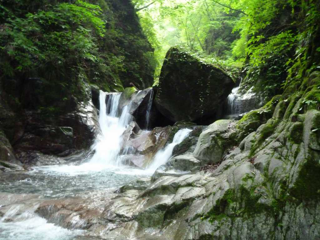 �����������̎R�����L�T