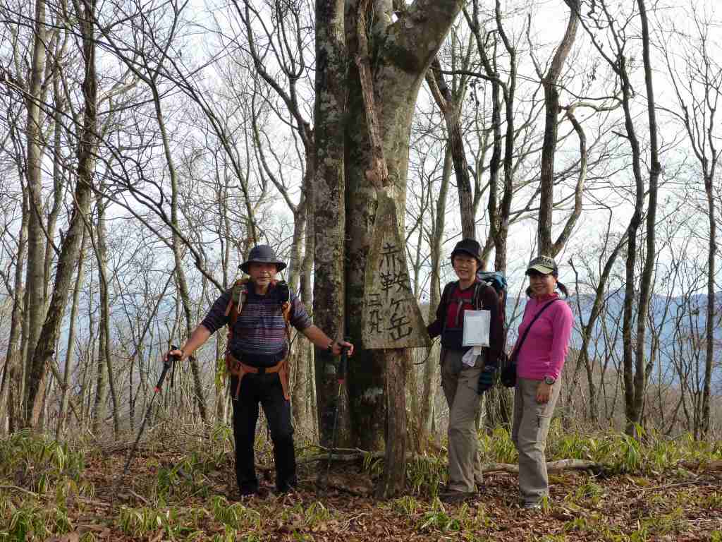 �����������̎R�����L�T