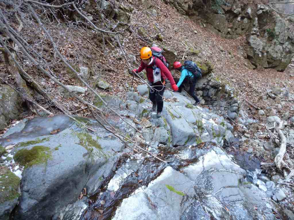 �����������̎R�����L�T