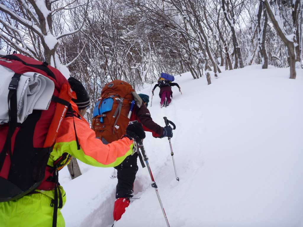 �����������̎R�����L�T