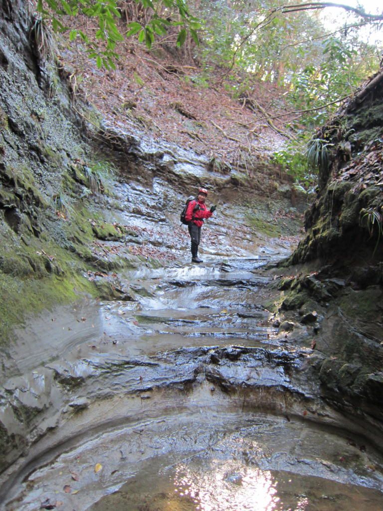 �����������̎R�����L�T