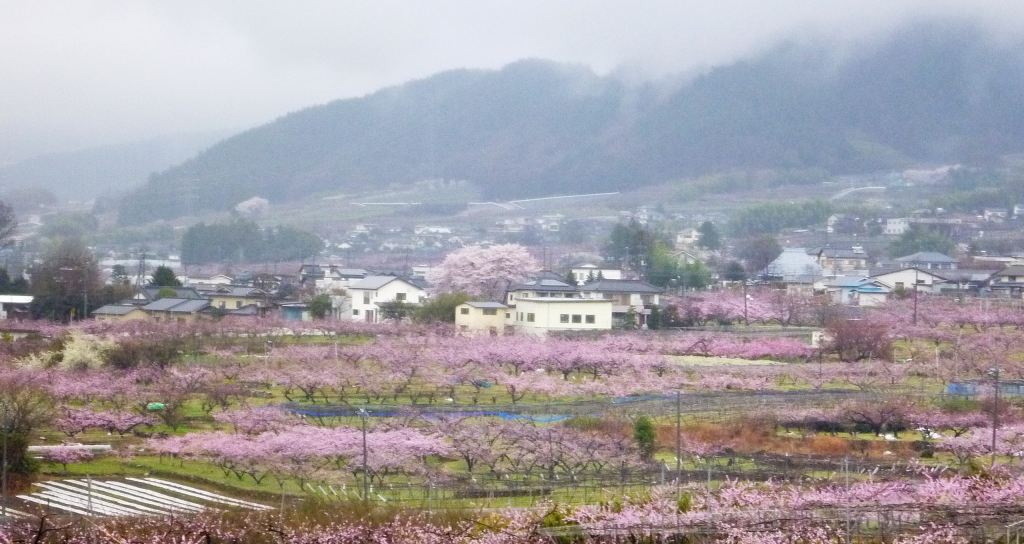 �����������̎R�����L�T