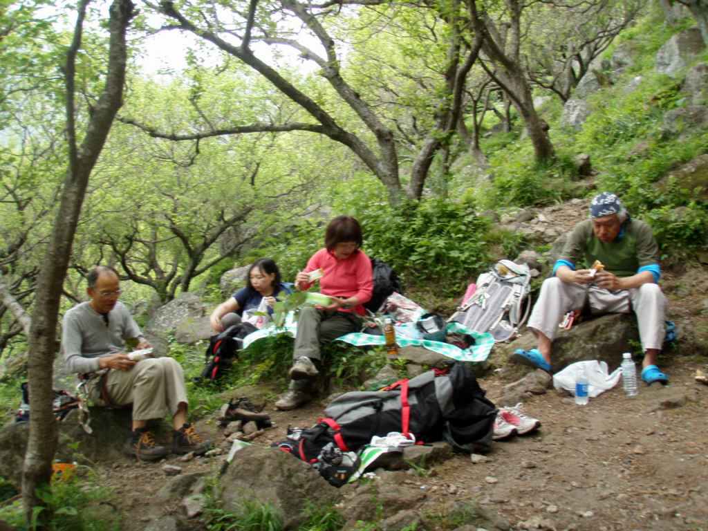 �����������̎R�����L�T