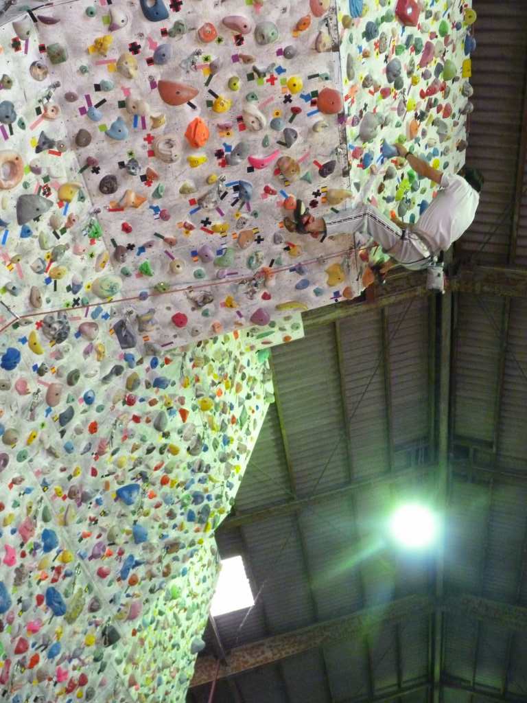 �����������̎R�����L�T