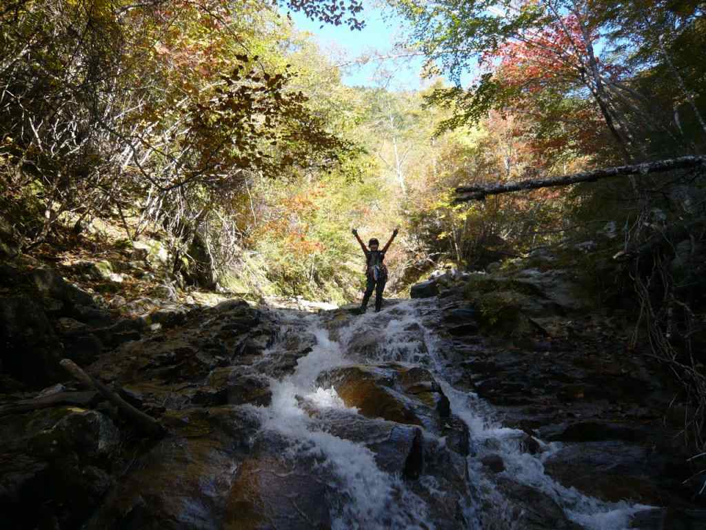 �����������̎R�����L�T