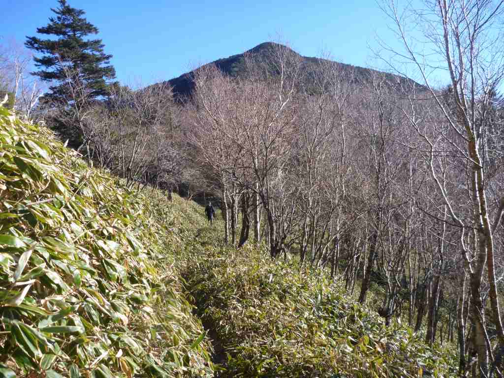 �����������̎R�����L�T