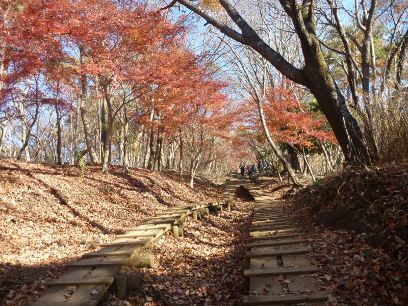 �����������̎R�����L�T