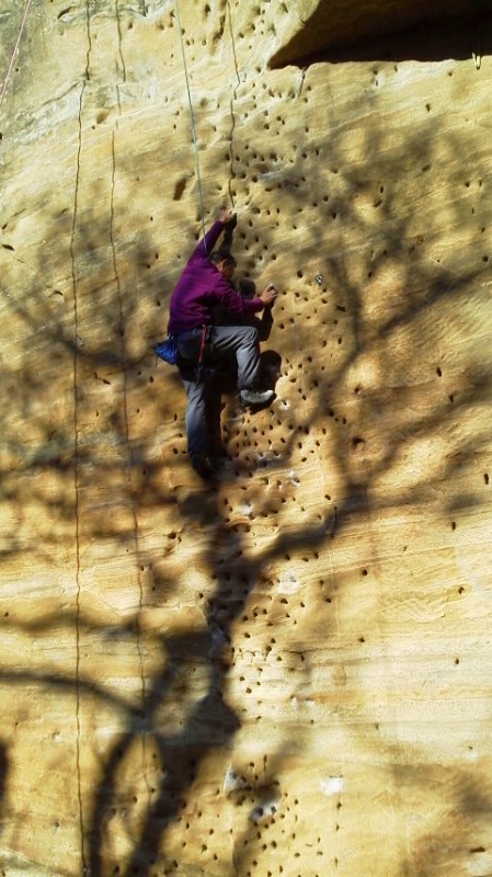 �����������̎R�����L�T