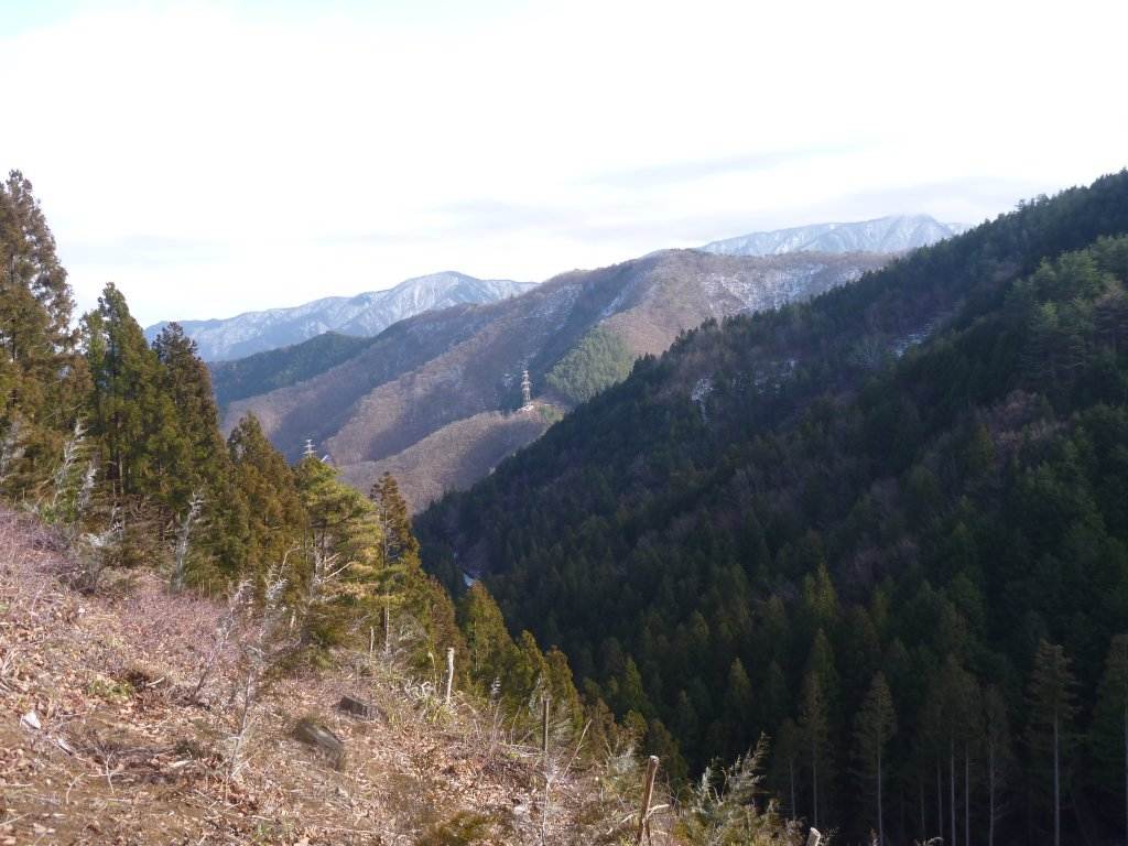 �����������̎R�����L�T