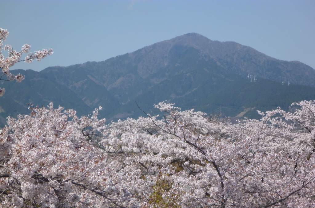 �����������̎R�����L�T