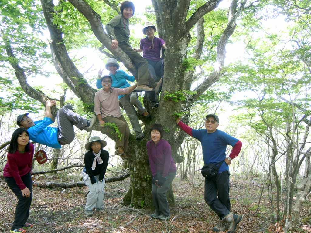 �����������̎R�����L�T