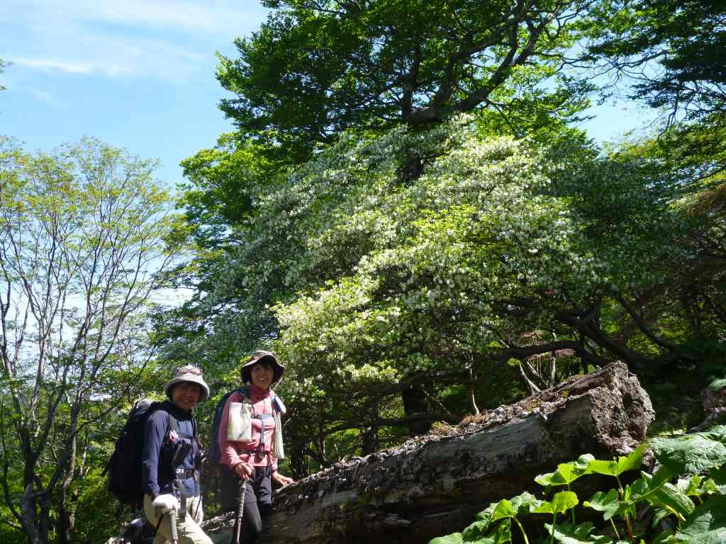 �����������̎R�����L�T