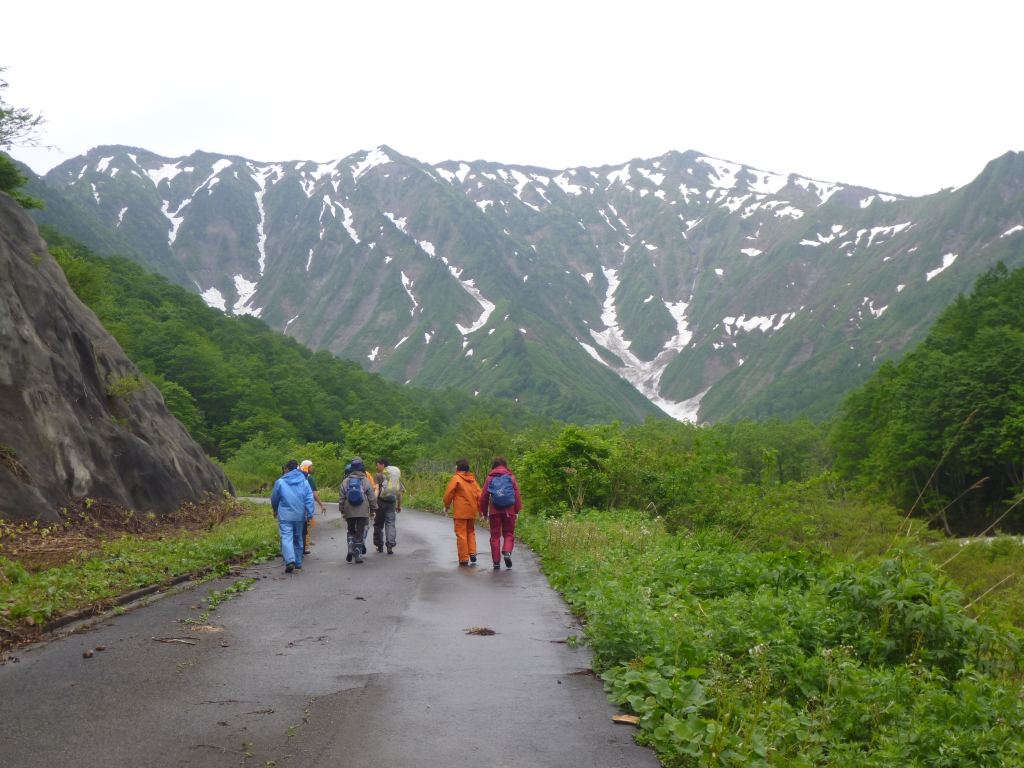 �����������̎R�����L�T