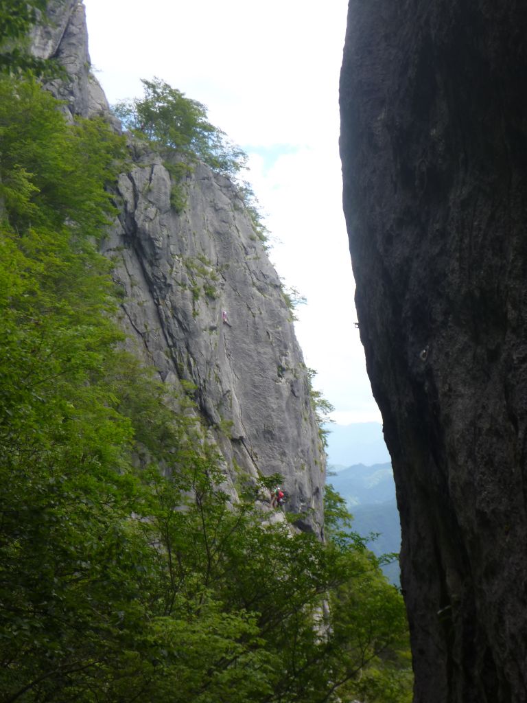 �����������̎R�����L�T