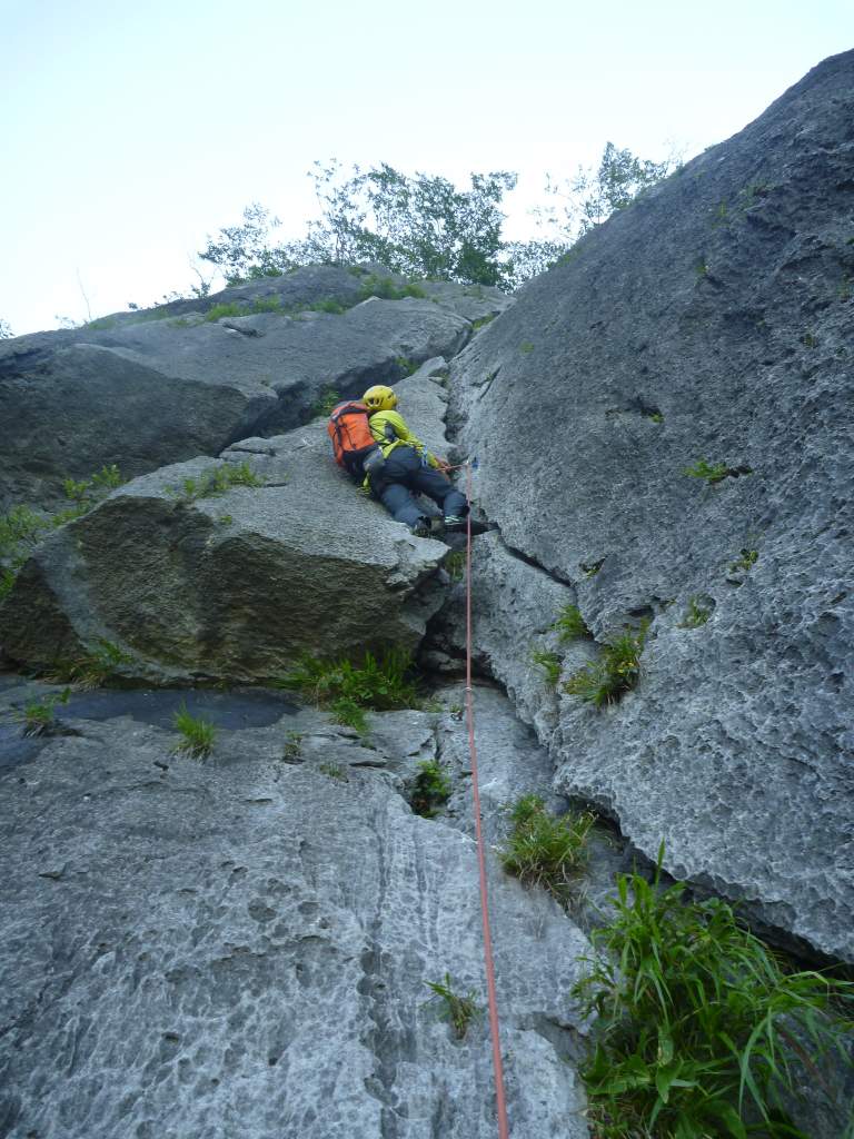 �����������̎R�����L�T