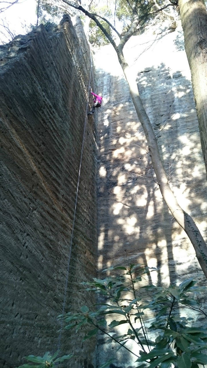 �����������̎R�����L�T