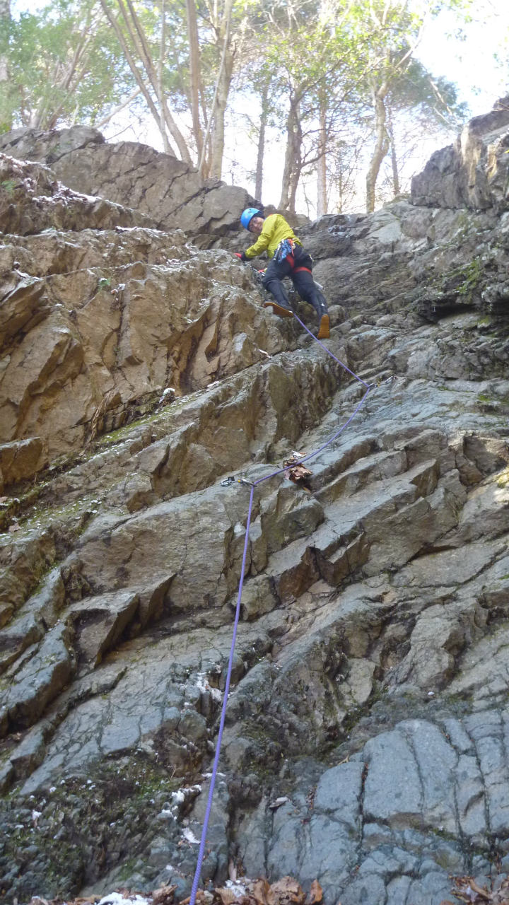 �����������̎R�����L�T