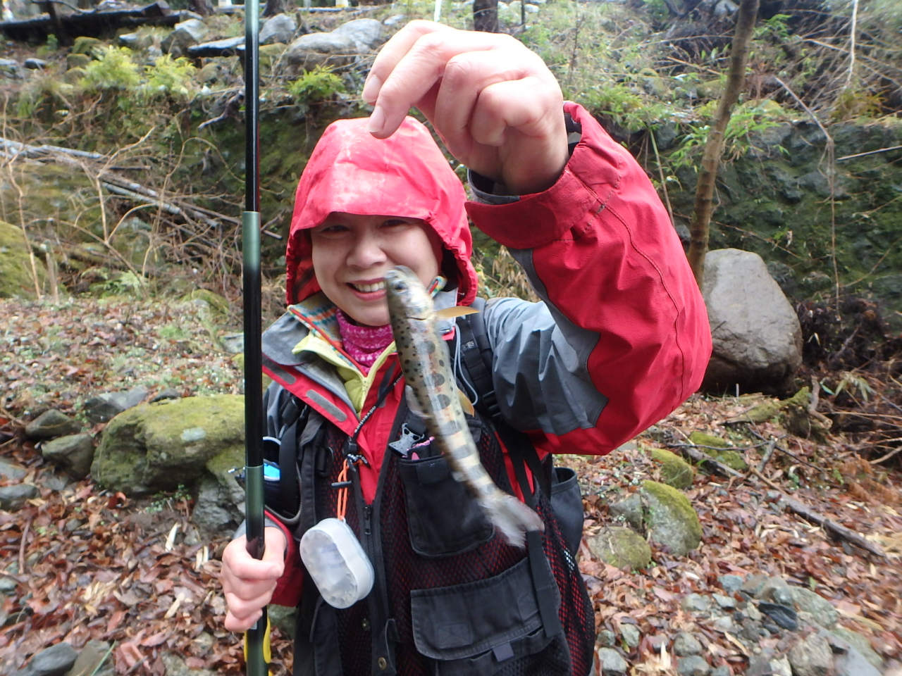 �����������̎R�����L�T