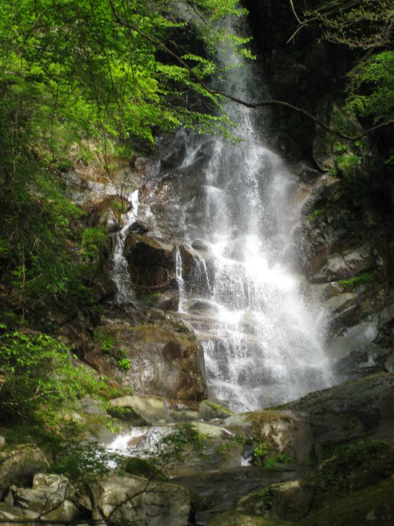 �����������̎R�����L�T