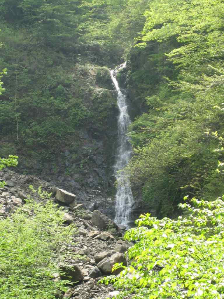 �����������̎R�����L�T