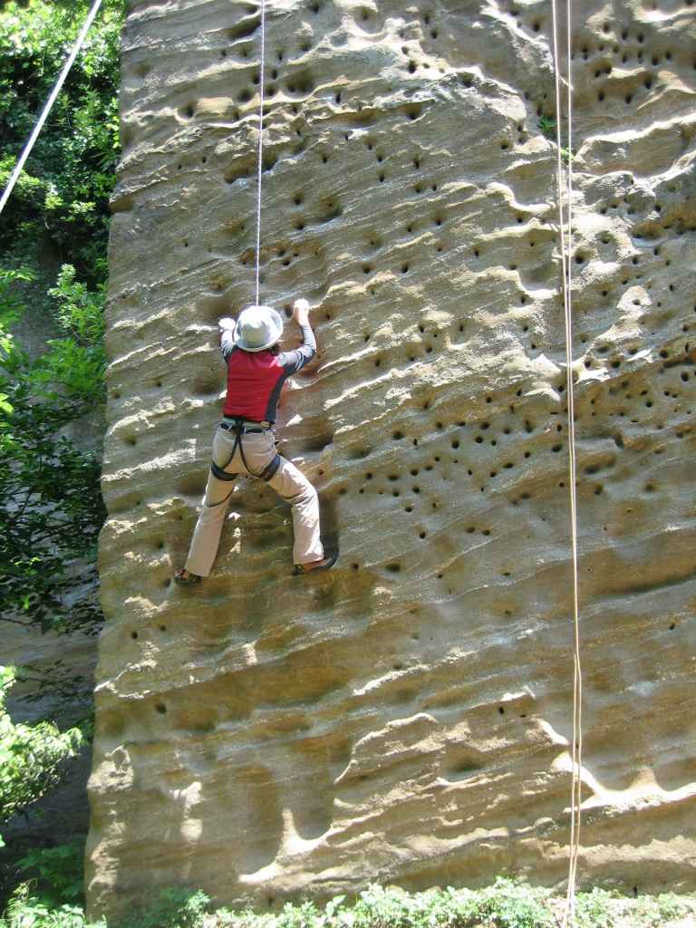 �����������̎R�����L�T