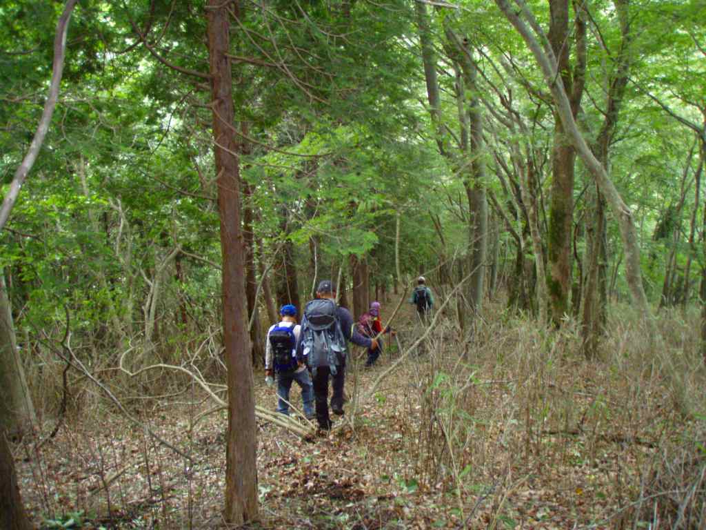 �����������̎R�����L�T