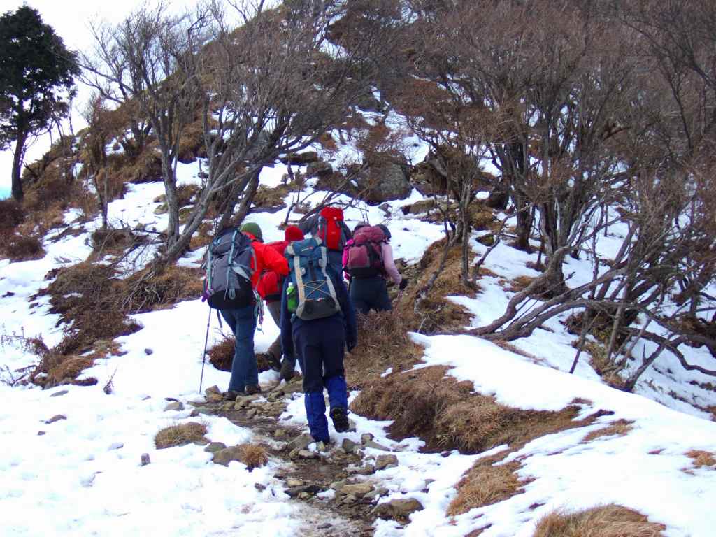 �����������̎R�����L�T