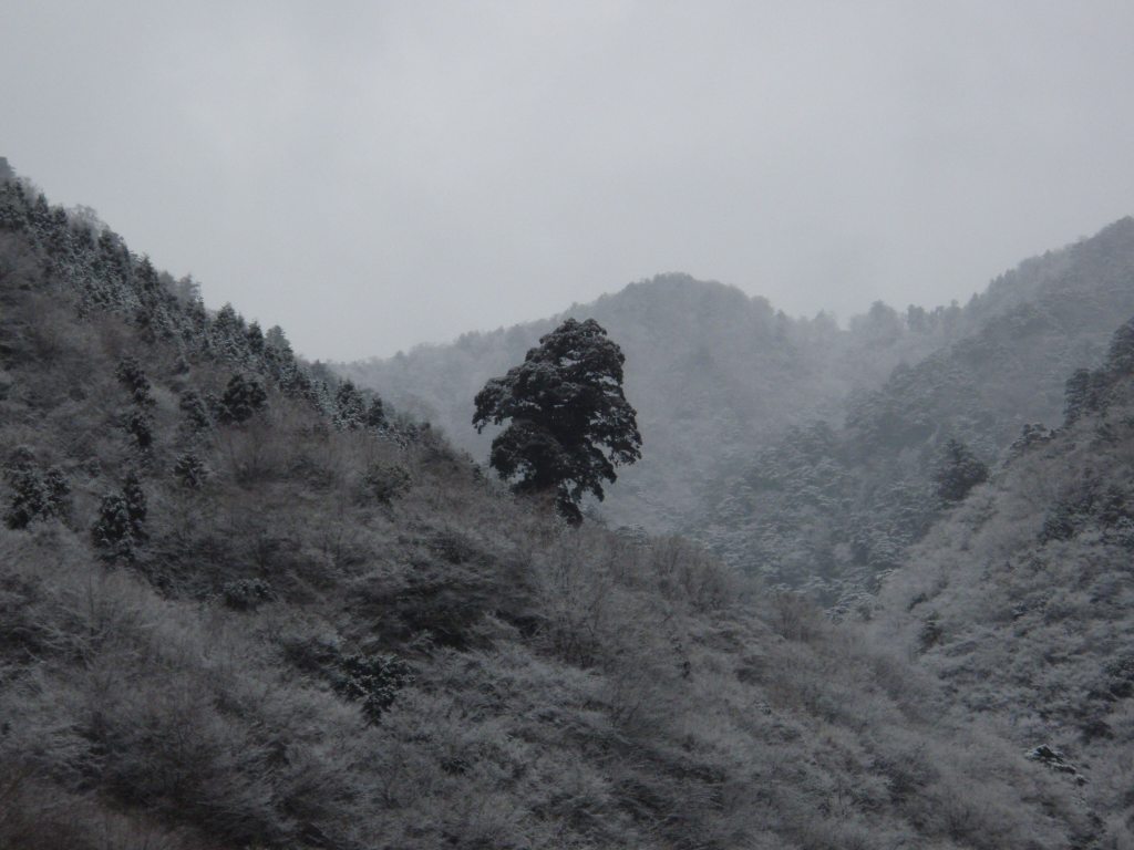 �����������̎R�����L�T