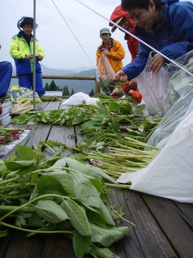 �����������̎R�����L�T