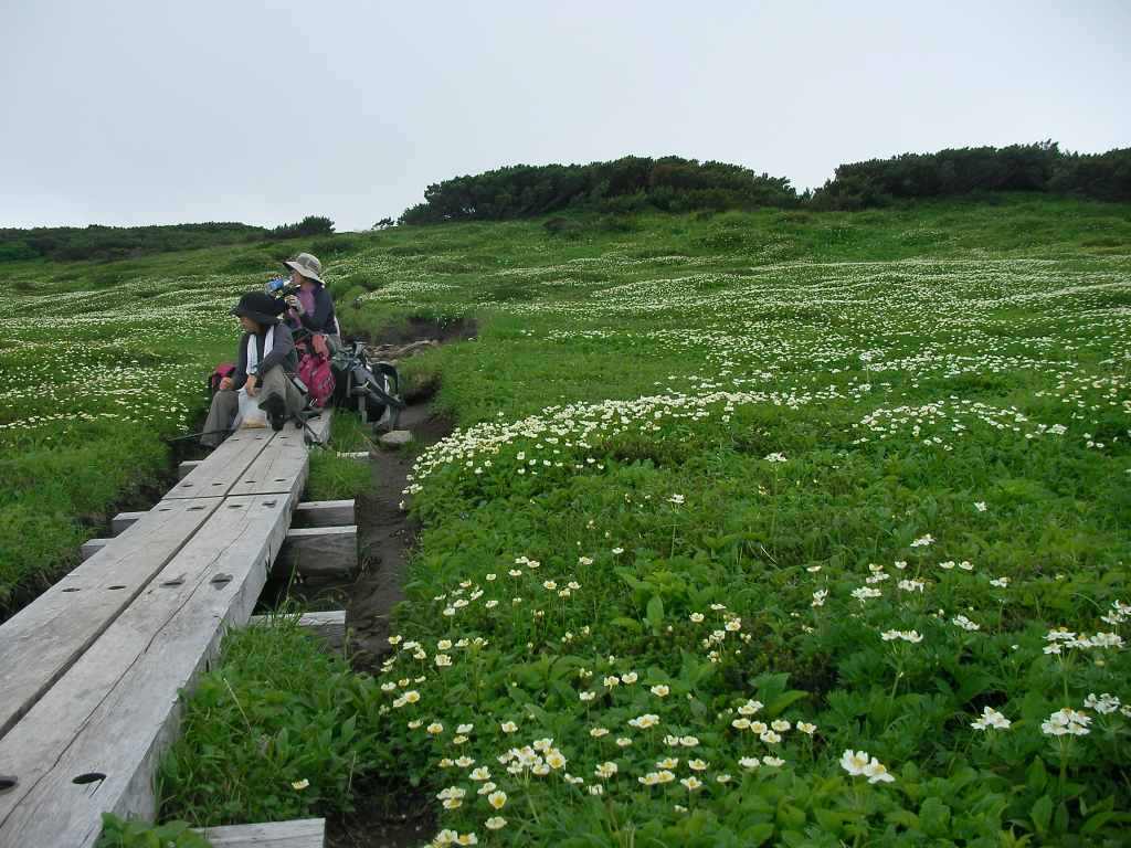 �����������̎R�����L�T